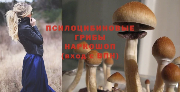 мяу мяу мука Балахна