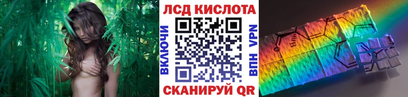 где купить наркоту  Куровское  Марки N-bome 1,8мг 