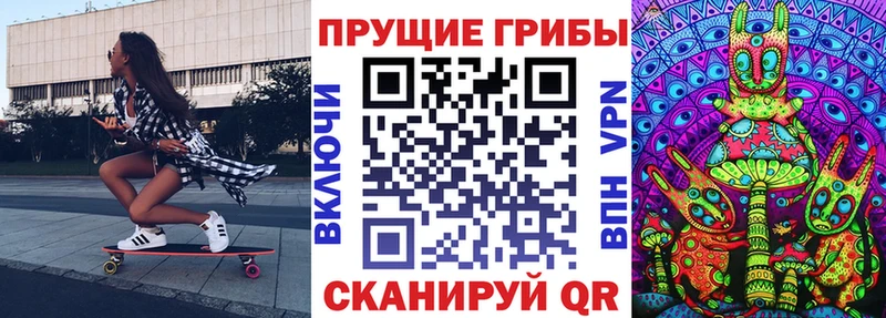 KRAKEN зеркало  Куровское  Псилоцибиновые грибы Psilocybine cubensis 